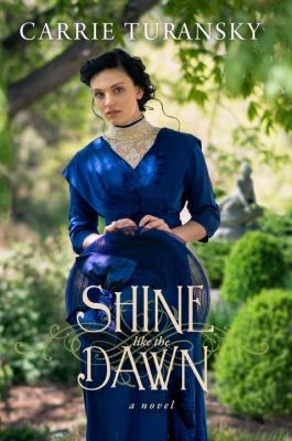 Shine like the dawn : a novel /