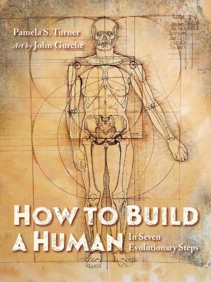 How to build a human : in seven evolutionary steps /