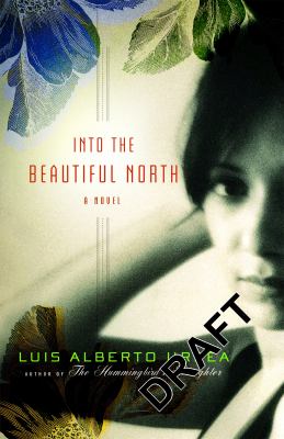 Into the beautiful North : a novel /