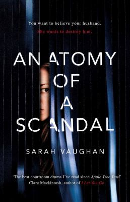 Anatomy of a scandal [large type] : a novel /