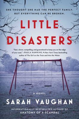 Little disasters : a novel /