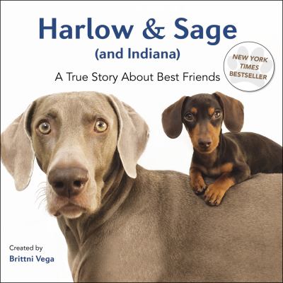 Harlow & Sage (and Indiana) : a true story about best friends /