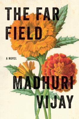The far field : a novel /