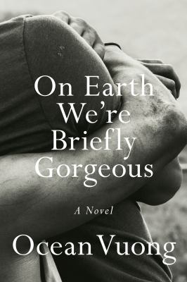On earth we're briefly gorgeous : a novel /