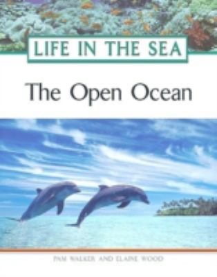 The open ocean /