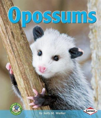 Opossums /