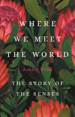 Where we meet the world : the story of the senses /