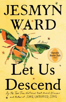 Let us descend [ebook] : A novel.