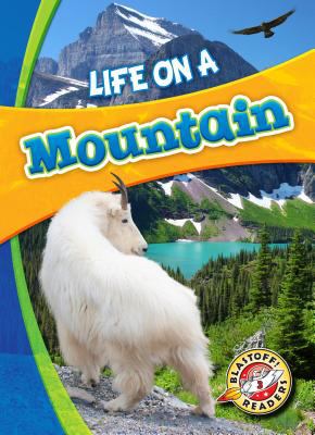 Life on a mountain /