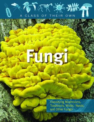 Fungi : mushrooms, toadstools, molds, yeasts, and other fungi /