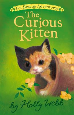 The curious kitten /