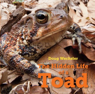 The hidden life of a toad /