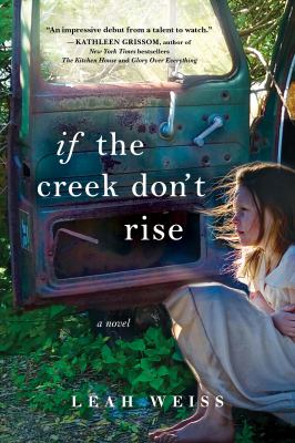 If the creek don't rise : a novel /