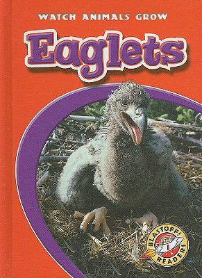 Eaglets /