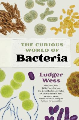 The curious world of bacteria /