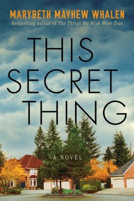This secret thing : a novel /