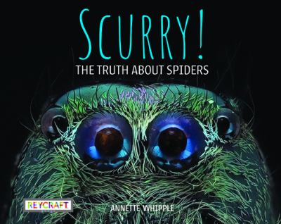 Scurry! : the truth about spiders /