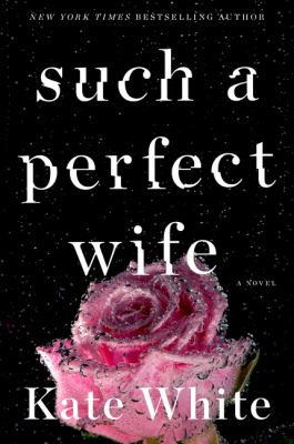 Such a perfect wife : a novel /