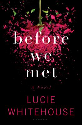 Before we met : a novel /