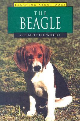 The beagle /