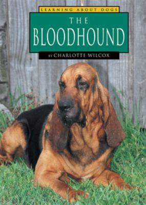 The bloodhound /