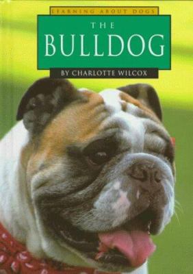 The bulldog /