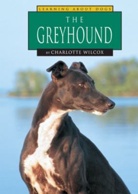 The greyhound /
