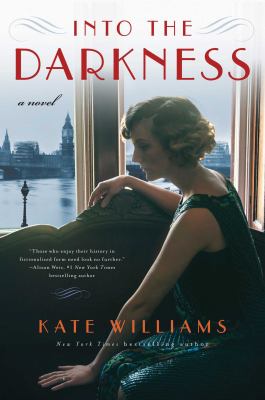 Into the darkness : a novel /