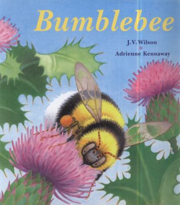 Bumblebee /