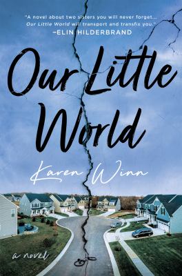Our little world : a novel /