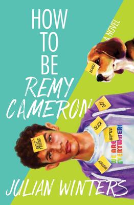 How to be Remy Cameron : a novel /