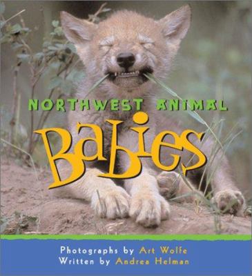 Northwest animal babies /
