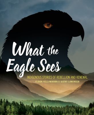What the eagle sees : indigenous stories of rebellion and renewal /