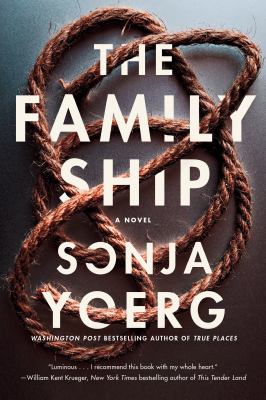 The family ship : a novel /