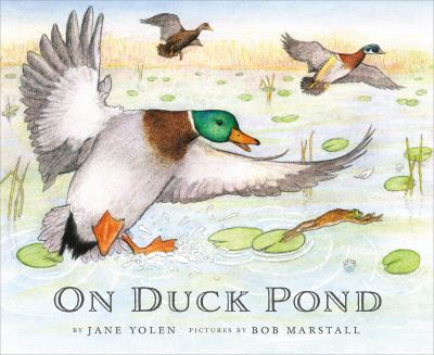 On Duck Pond /
