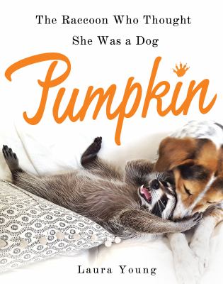 Pumpkin : the raccoon who thought she was a dog /