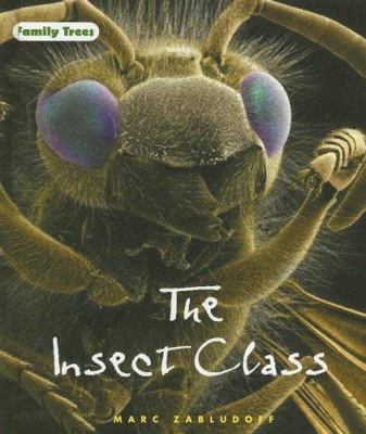 The insect class /