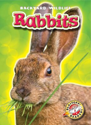 Rabbits /