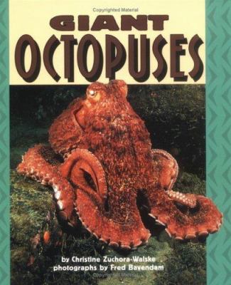 Giant octopuses /